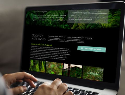 Site internet Concept Végétal